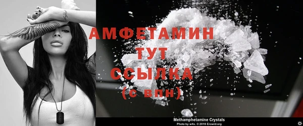 Альфа ПВП Ельня