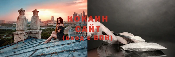 Альфа ПВП Ельня