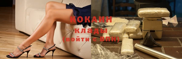 стафф Елизово