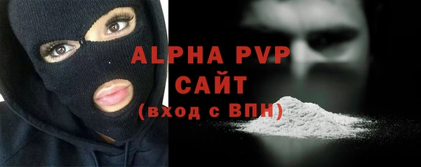 стафф Елизово