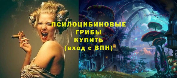стафф Елизово