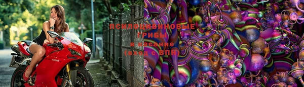 Альфа ПВП Ельня