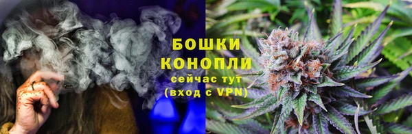 стафф Елизово