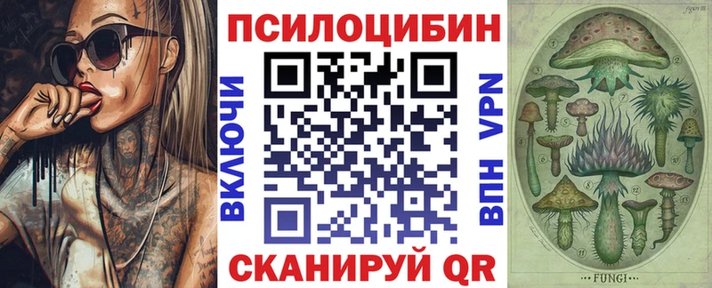 Купить закладки  Чегем  Псилоцибиновые грибы мухоморы 